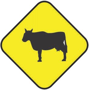 Cattle Corssing traffic sign